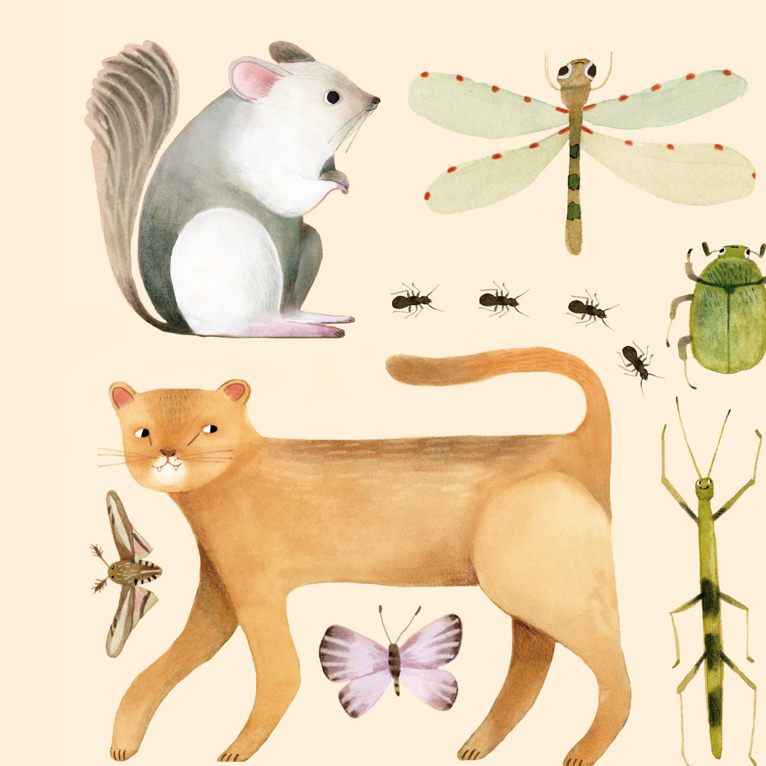 Ilustraciones educativas