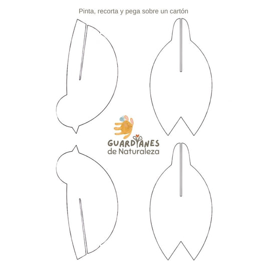 Plantilla pájaro para armar