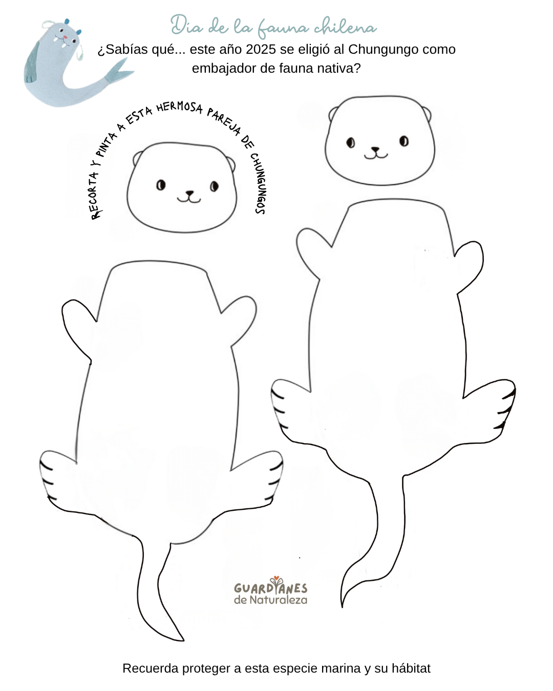 Chungungo descargable