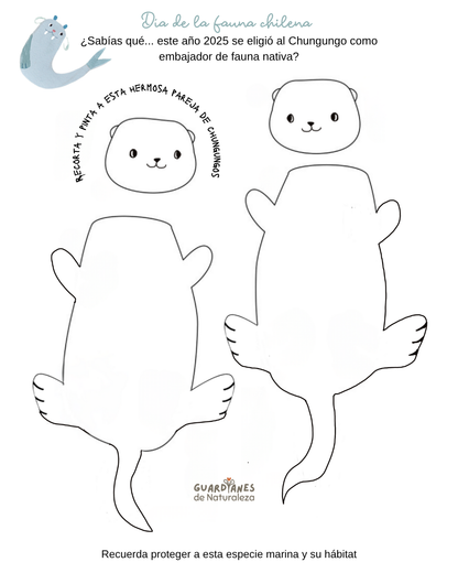 Chungungo descargable