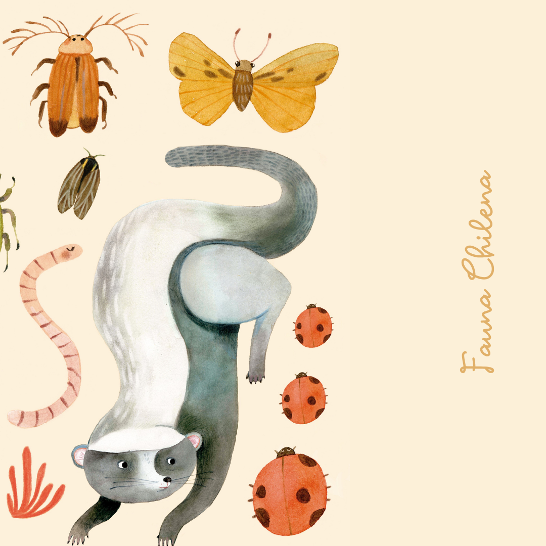 Ilustración Fauna Chilena