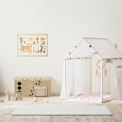 Ilustración Fauna Chilena