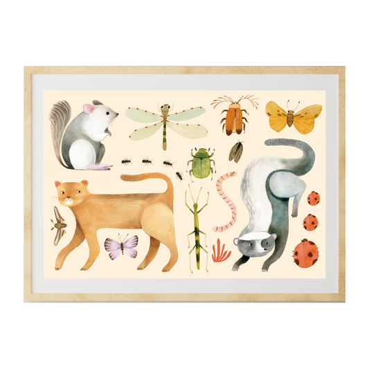 Ilustración Fauna Chilena