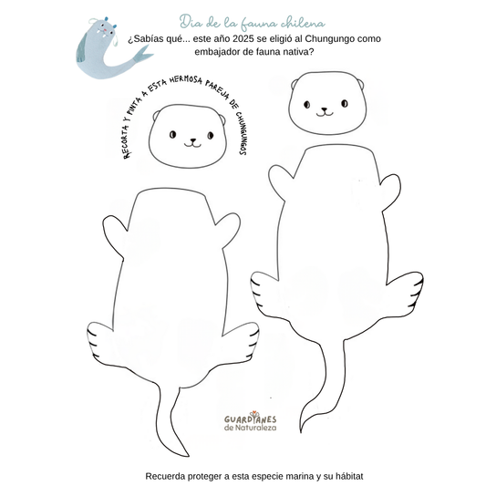 Chungungo descargable